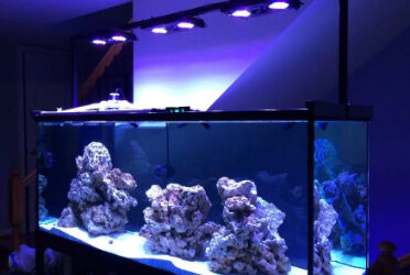 Illuminate Your Aquarium with EZTube: The Perfect Solution for Light Fixtures