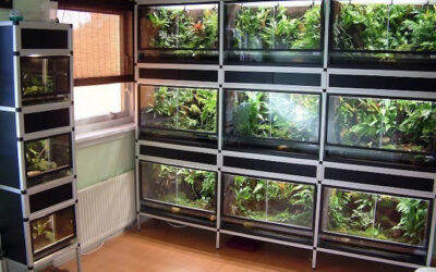 Elevate Your Green Oasis with EZTube: The Perfect Solution for Plant Shelves, Racks, and Holders